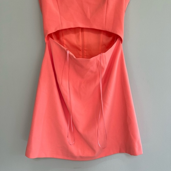 NWT French Connection Whisper V-Neck Cut Out Dress in Coral Sands, size 4 - Picture 8 of 11